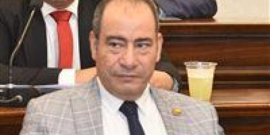 مجاهد نصار: توجيهات الرئيس السيسي بتطوير الإنتاج الحربي تعكس رؤية استراتيجية لتعزيز التصنيع الوطني