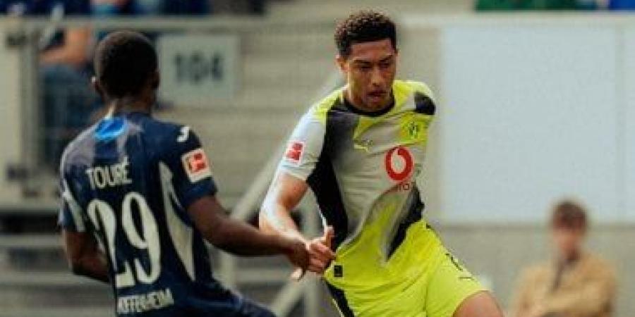 هوفنهايم يهزم دورتموند بثنائية ويقرب بايرن ميونخ من لقب الدورى الألمانى