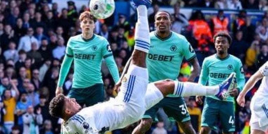 خسارة نيوكاسل يونايتد ضد بورنموث.. وولفرهامتبون يقترب من الهبوط