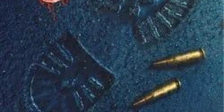 الأدب البوليسى.. أعمال صنعت عالم الغموض والإثارة