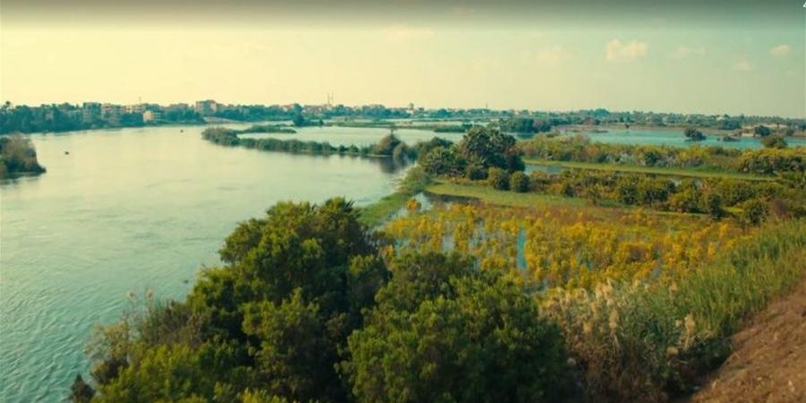 ريف جديد.. «الدستور» تتابع تنفيذ مشروعات المرحلة الأولى من مبادرة «حياة كريمة»