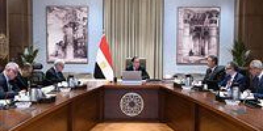 رئيس الوزراء: إنشاء مراكز لوجيستية للحبوب والزيوت في مصر