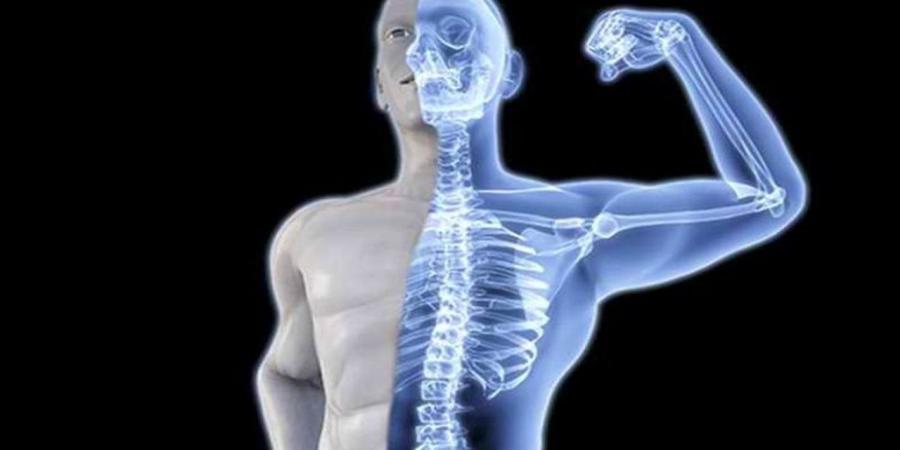 عالمة تحدد مرحلة عمرية حرجة تبدأ فيها العظام بفقدان صلابتها