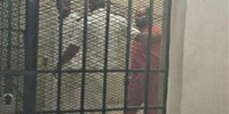 بعد طعنها وإلقائها من الشرفة.. الإعدام لمتهم بقتل والدته في بورسعيد