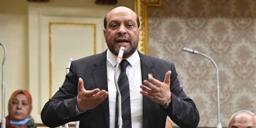 محمود الشامي: الخبراء الأجانب سر تدهور أداء التحكيم المصري