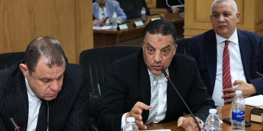 نائب يحصل على ترخيص 30 ميكروباصات لحل أزمة مواصلات الصف بالجيزة