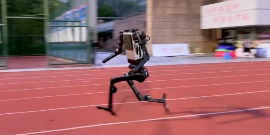 روبوتات بشرية صينية تقترب من سرعة أوسين بولت فى سباق 100 متر