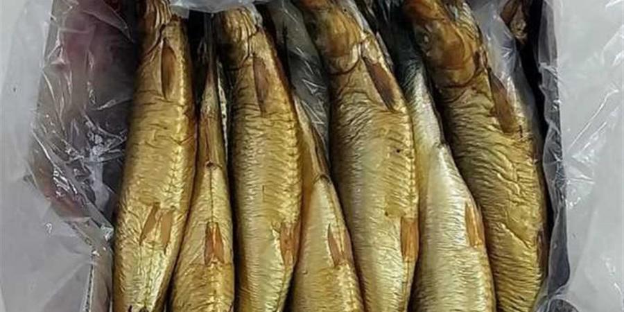 أسعار الفسيخ والرنجة والأسماك المملحة في أسواق الغربية