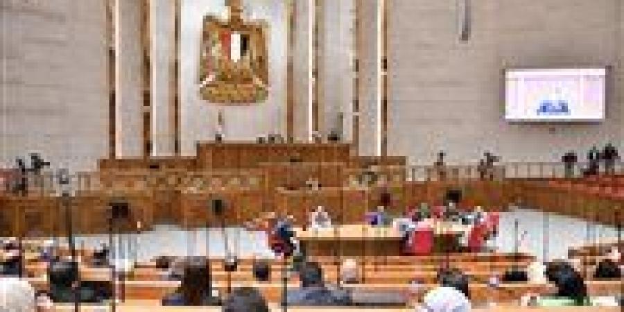 مدبولي من البرلمان: 2028 الاعتماد على 40% طاقة متجددة