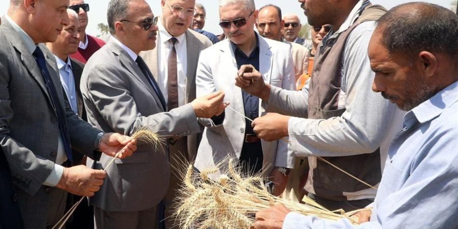 محافظ الشرقية يشهد أعمال موسم حصاد القمح بمنطقة أبو سمران