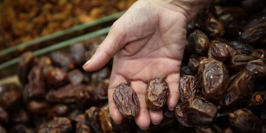 أسعار البلح والتمور بأسواق الوادي الجديد اليوم الثلاثاء 21 أبريل 2026