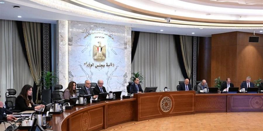 ​مدبولي يوجه بتوفير إمدادات الطاقة للقطاعات الإنتاجية لتعزيز النمو الاقتصادي وتوطين الصناعة