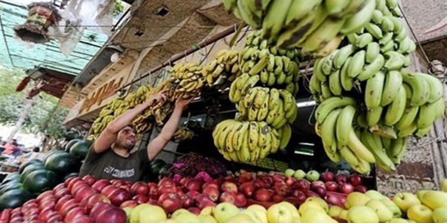 استقرار اسعار الفواكة بمحافظة الإسكندرية اليوم الاربعاء