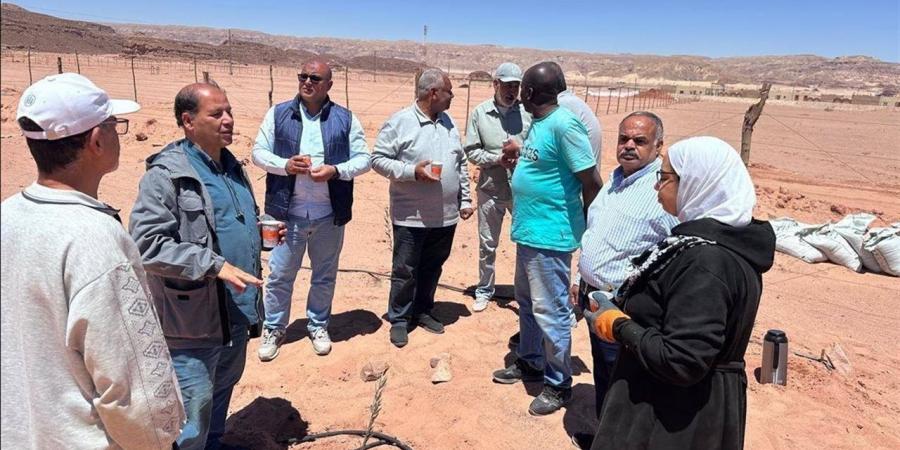 الزراعة تستعرض حصاد عام من التنمية في سيناء.. مشروعات متكاملة وتمكين مجتمعي