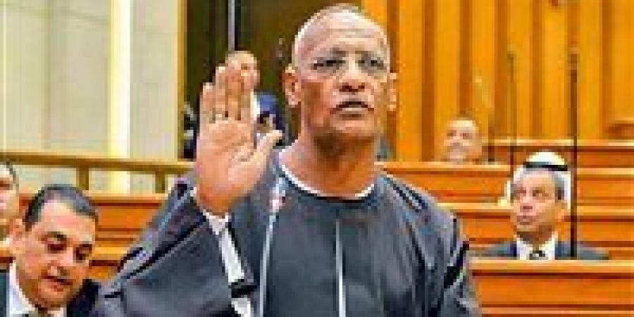 النائب مدحت ركابي يتقدم باقتراح برغبة بشأن استكمال أعمال تغطية ورصف الطريق البديل الرئيسي بقرية المنصورية في أسوان