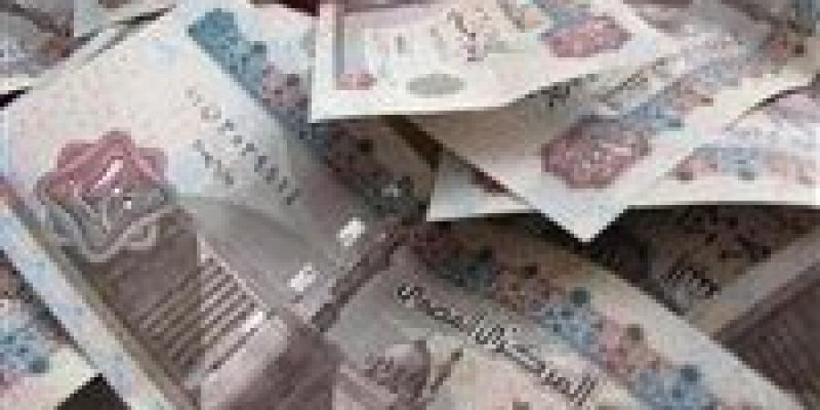 ارتفاع مخصصات تكافل وكرامة ودعم الاقتصاد في موازنة مصر الجديدة للعام المالي