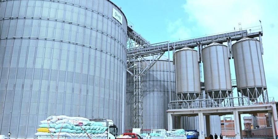 من الحقول إلى الصوامع.. توريد 3884 طن قمح بالبحيرة