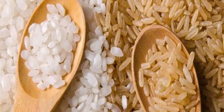 التحديث اليومي لأسعار الأرز الشعير اليوم 24 إبريل 2026