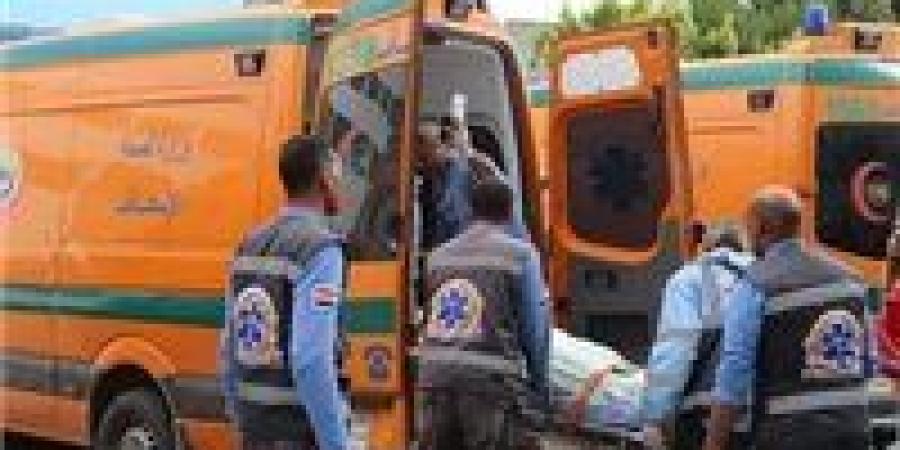 مصرع سائق في حادث تصادم بطريق الشيخ فضل بالمنيا