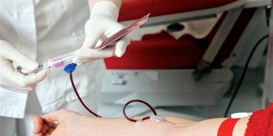 ضوابط التبرع بالدم والبلازما في مصر 2026.. النصوص القانونية كاملة