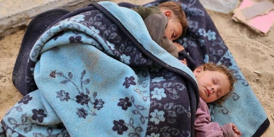 الصحة العالمية: تسجيل أكثر من 17 ألف إصابة بين النازحين مرتبطة بالقوارض