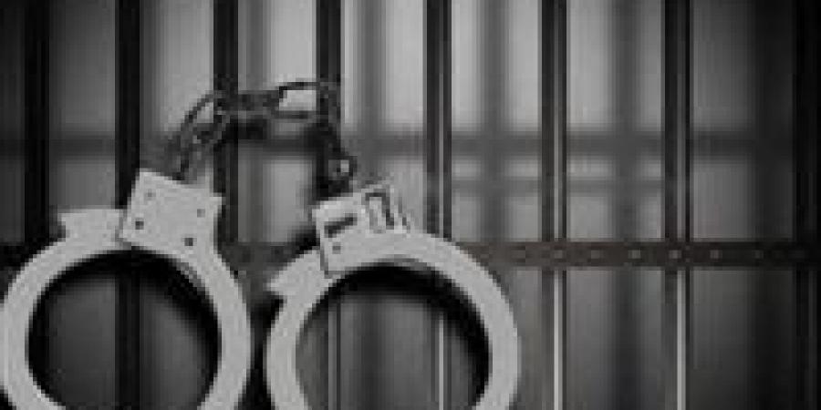 بندقية هواء وسلاح أبيض.. واقعة صيد تتحول إلى اعتداء في الإسكندرية