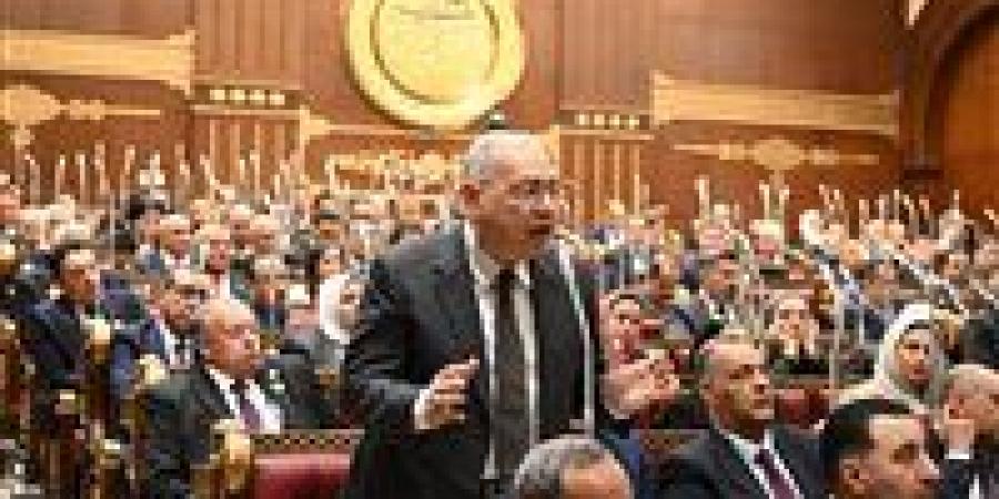 عصام خليل: مراكز الشباب تواجه تحديات التمويل والبيروقراطية ونقص الكوادر