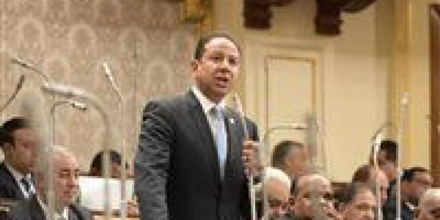 النائب حسن عمار: تنويع الاحتياطي النقدي ضرورة حتمية في مواجهة اضطرابات الاقتصاد العالمي