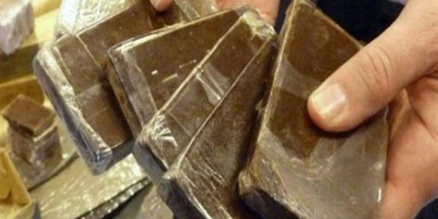 السجن المشدد لتاجر حشيش غرب الإسكندرية