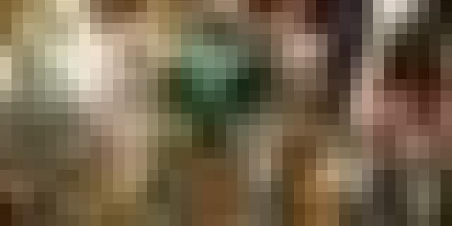 رياض محرز.. أينما حلّ زرع المجد وحصد الألقاب