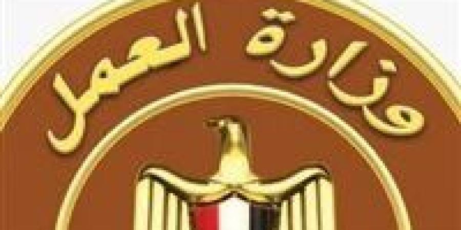 212 فرصة عمل جديدة للشباب في السويس برواتب مجزية وتخصصات متنوعة