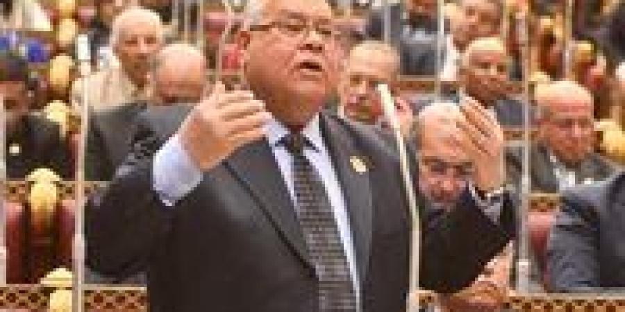 الشهابى: تآكل المعاشات نتيجة مباشرة لتراجع الجنيه والحكومة مطالبة بالتصحيح