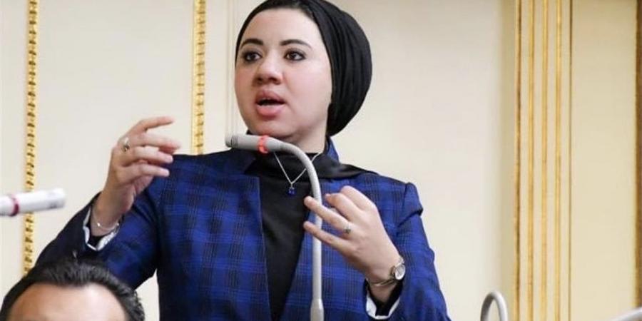 أميرة صابر: "الحضانة المشتركة" تجربة دولية ناجحة يجب تطبيقها بما يحقق مصلحة الطفل