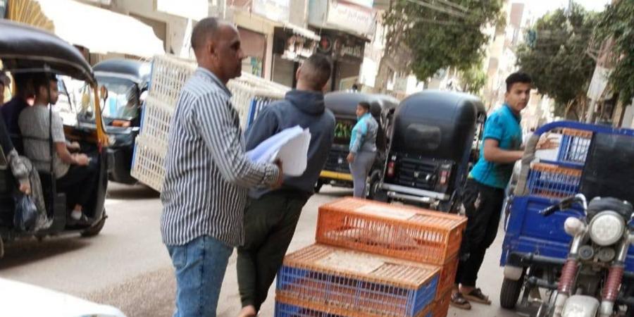 حملة أمنية موسعة بالجيزة.. تنفيذ أحكام ورفع إشغالات وإغلاق محال مخالفة