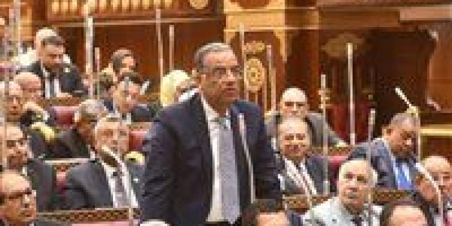 محمود مسلم: المعاشات استحقاق وليست منحة.. ونطالب بمزيد من الجهد لتعزيز الاستدامة