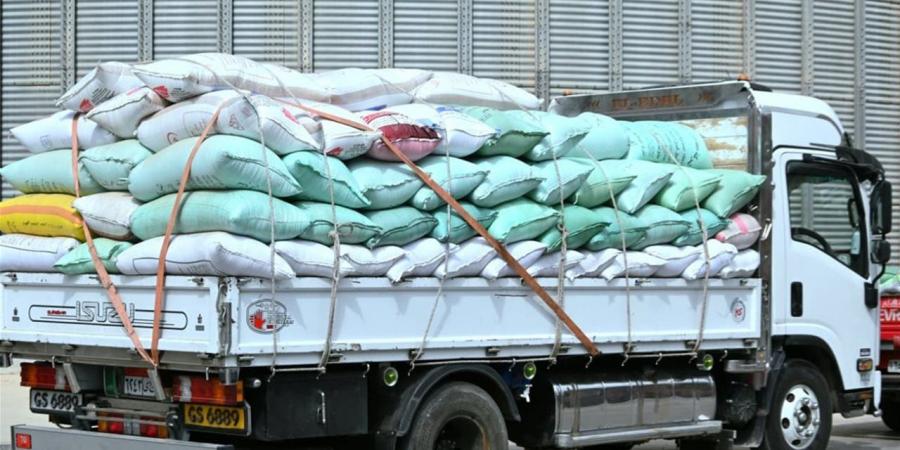 توريد أكثر من 9 آلاف طن قمح للشون والصوامع حتى صباح اليوم بالبحيرة