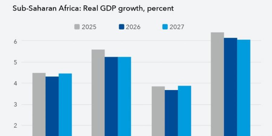 تحذيرات دولية: "تأثير صدمة الحرب" يهدد بإجهاض النهضة الاقتصادية في إفريقيا