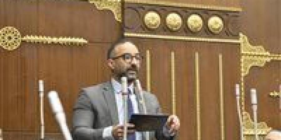 لإنصاف غير العاملات.. الحمامصي يعتزم تقديم تعديلًا تشريعيًا ينهي وقف معاش الابنة عند الزواج