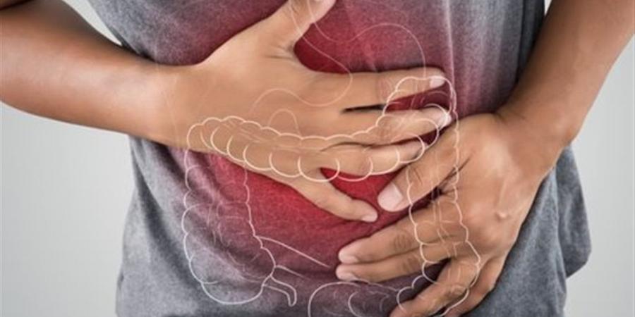 ميكروبيوم الأمعاء.. العضو الخفي الذي يتحكم في مزاجك ومناعتك