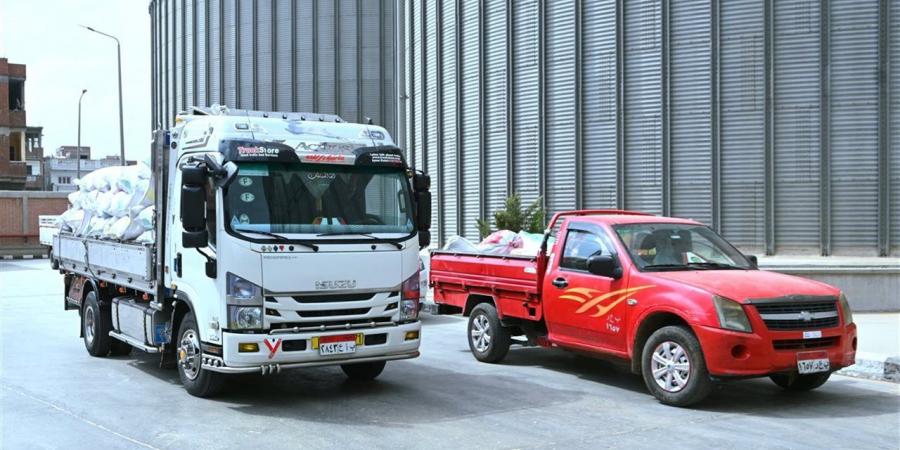 توريد 15223 طن قمح.. وانتظام العمل بـ 39 موقعًا بنطاق محافظة البحيرة