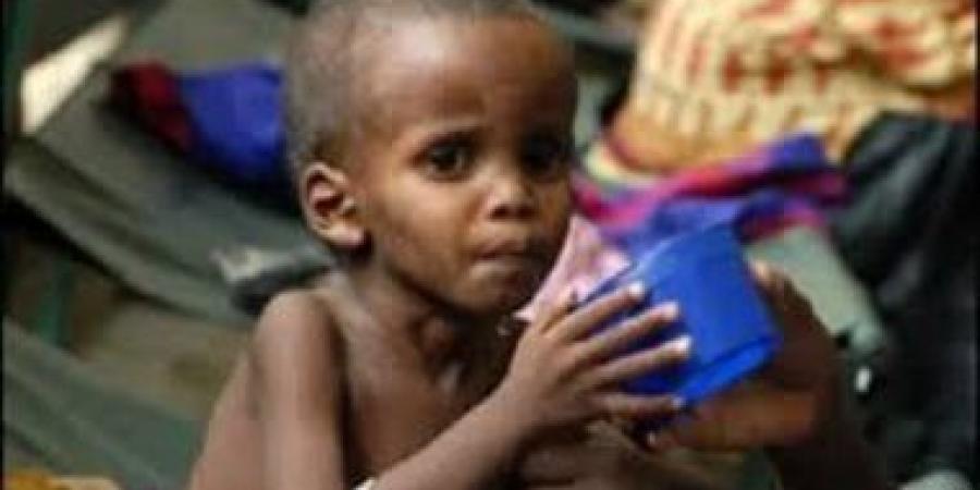 الأمم المتحدة تحذر من الوضع المتدهور في الصومال