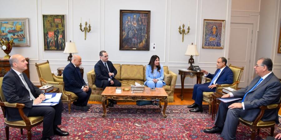 «رعاية المصريين بالخارج».. تفاصيل لقاء وزير الخارجية مع وزيرة الإسكان