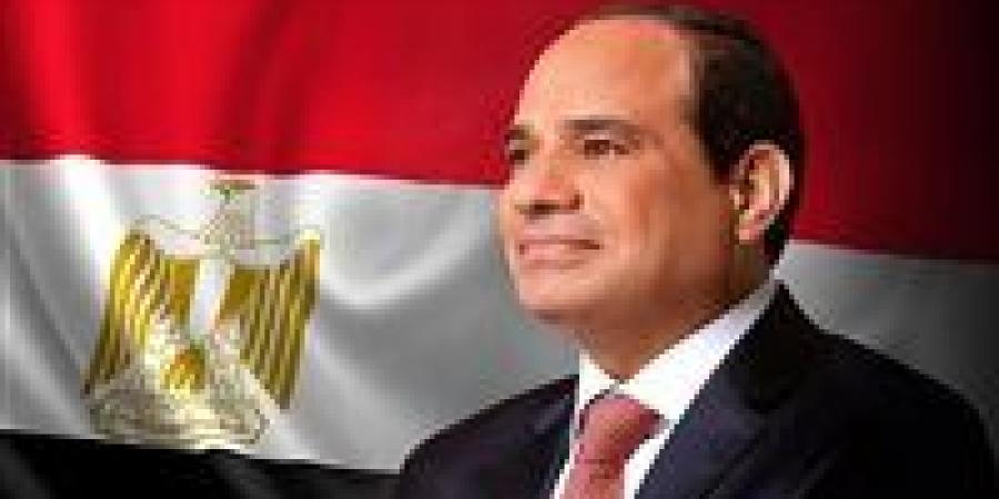 الرئيس السيسي: النهضة الشاملة في مصر ما كانت تتحقق بدون العامل المصري