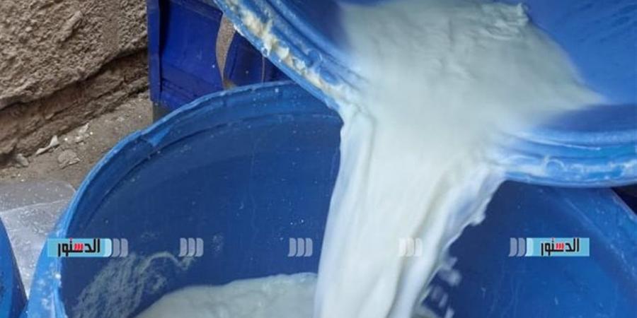 أسعار الألبان والجبن ومشتقاتهما بأسواق بورسعيد اليوم السبت 2 مايو