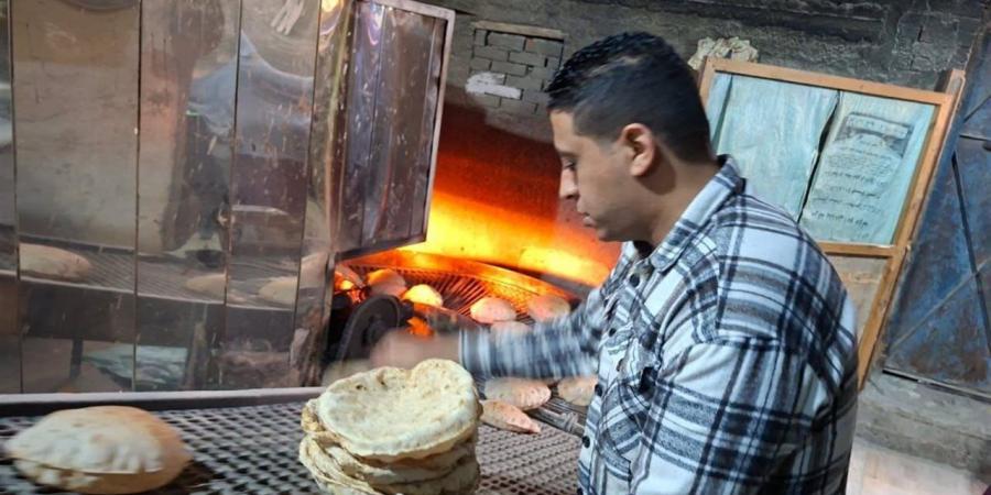 تحرير 43 محضرًا.. محافظ الغربية يُكثّف الرقابة على منظومة الخبز المدعم بحملات تموينية