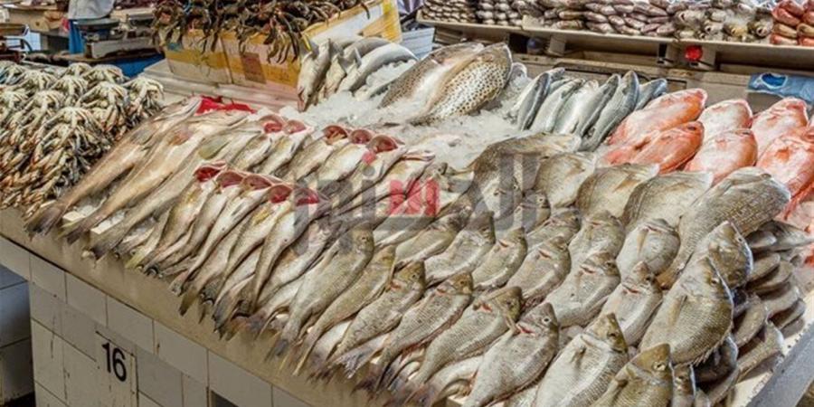 أسعار الأسماك والمأكولات البحرية بأسواق بورسعيد اليوم الاثنين 4 مايو