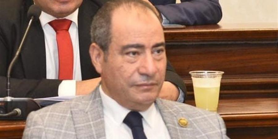 برلماني: لقاء السيسي برئيس بنك التنمية الأفريقي يدعم رؤية مصر 2030