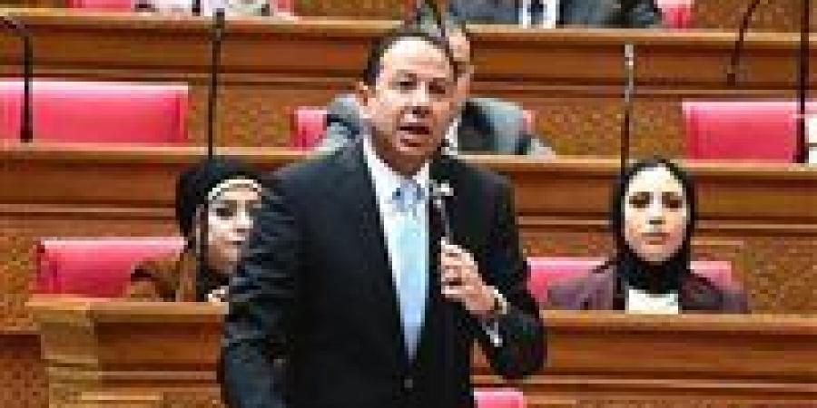 «الحكومة بتقترض عشان تسدد وبعدين تسدد عشان تقترض».. النائب حسن عمار يرفض الحساب الختامي ويحذر من تفاقم الديون