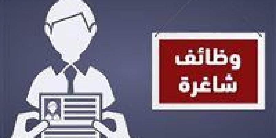 2600 فرصة عمل في قطاع التشييد والبناء.. “العمل” تعلن تفاصيل الوظائف والمزايا