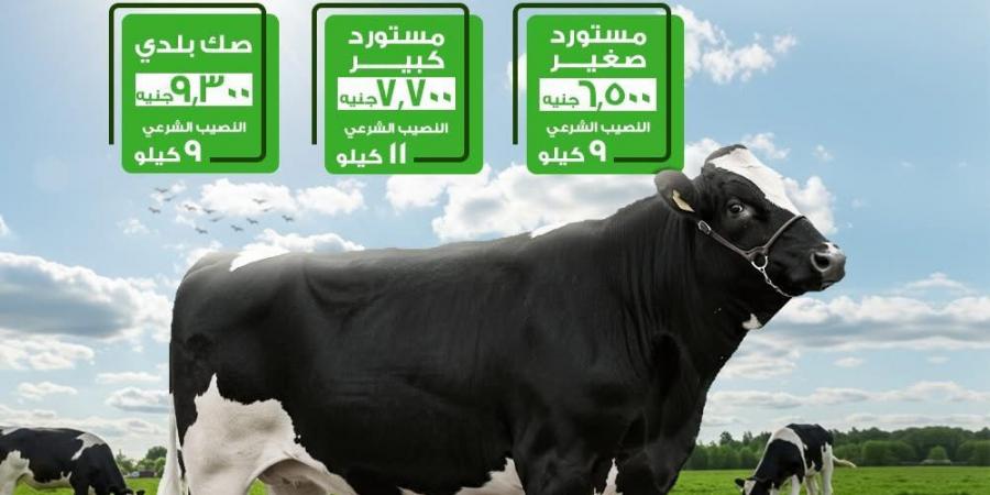 لزيادة أعداد المستفيدين.. "الأورمان" تطلق خدمة التقسيط لصكوك الأضاحى 2026